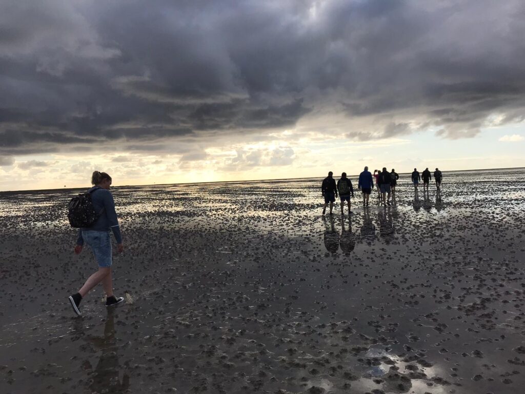 Wadlopen 2 