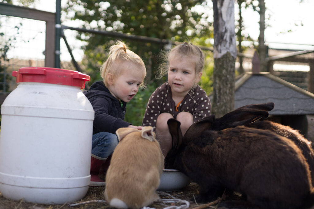 Kinderen spelen met dieren
