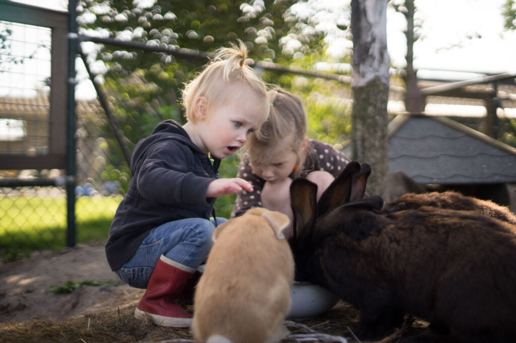 Kinderen spelen met de dieren bij de Oorsprong