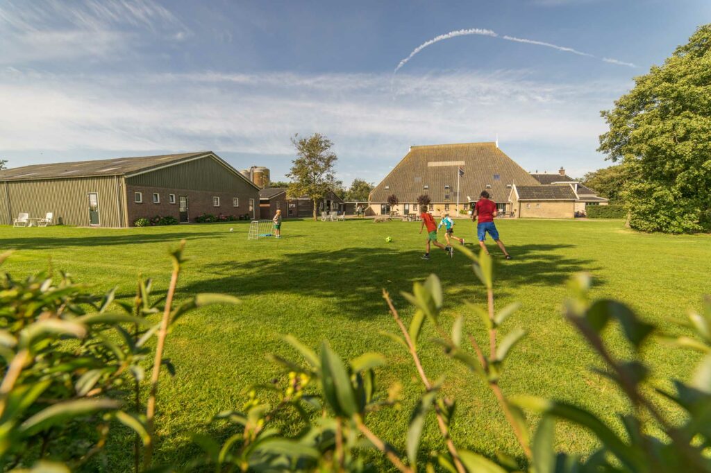 Voetballende kinderen op een grasveld