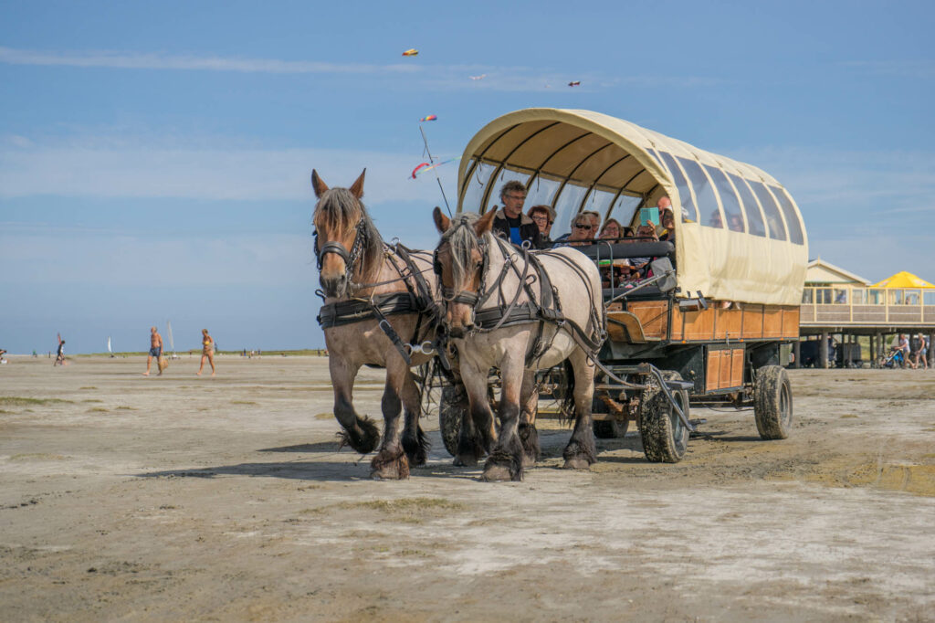 koets op het strand van Schier