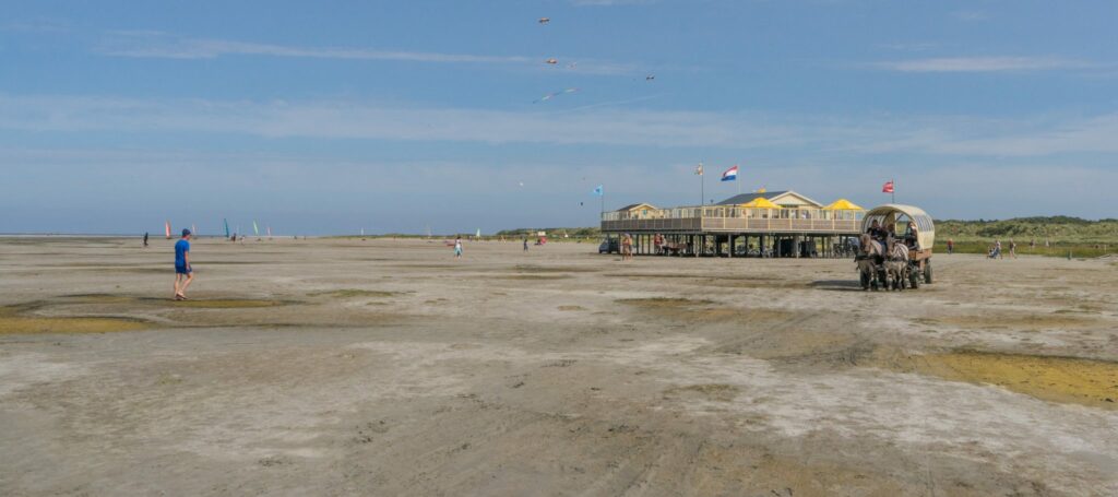 Paarden tour op het strand