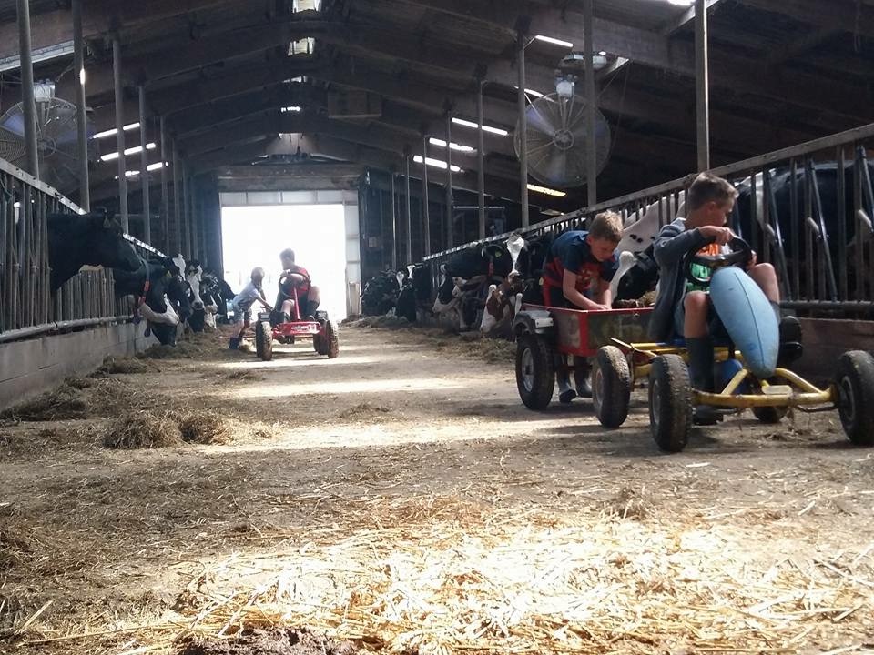 kampeerboerderij schiermonnikoog