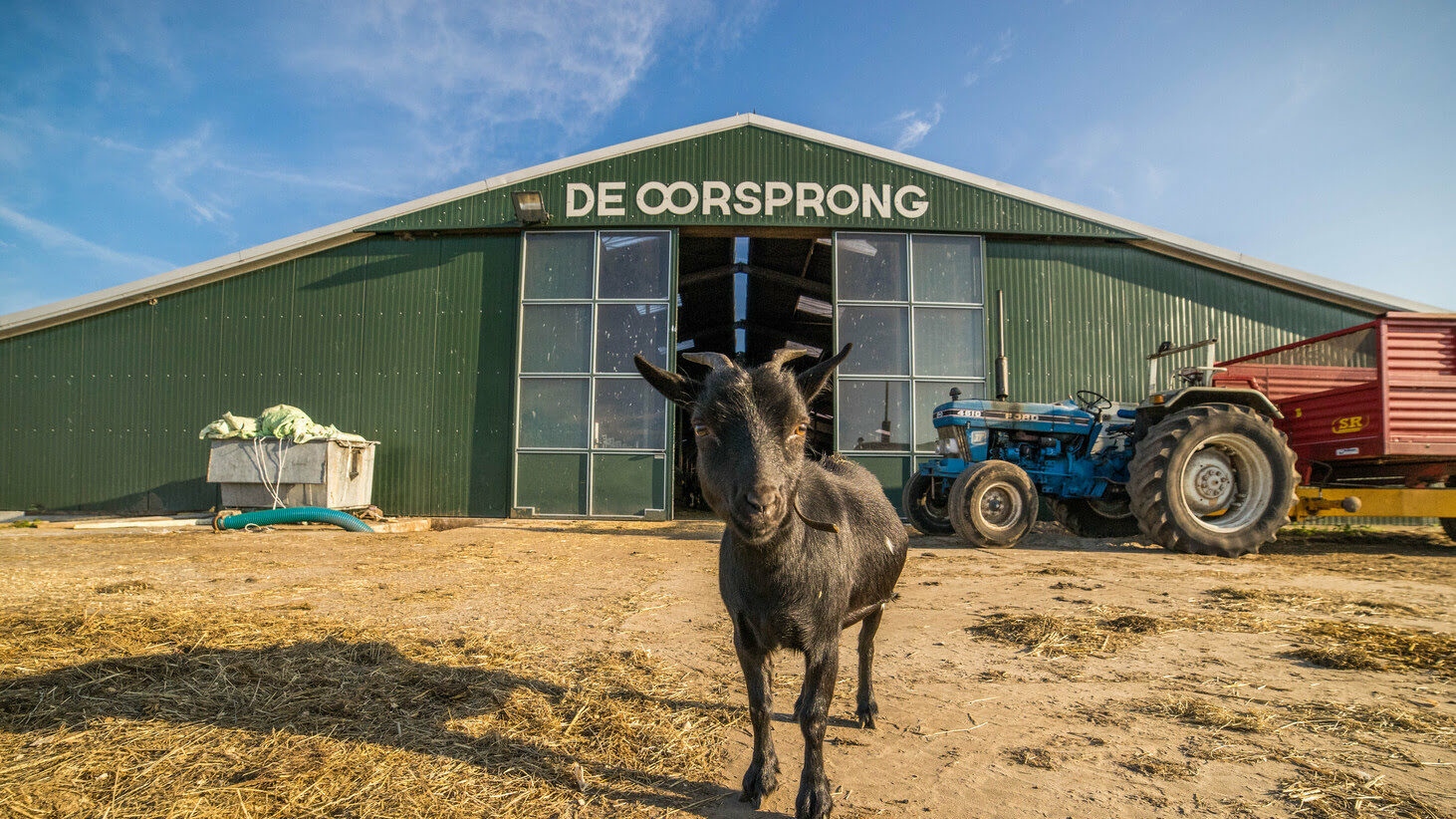 De Oorsprong Augustus 2017 (38 O