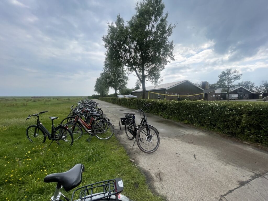 Img 5876 (groot (full Hd))