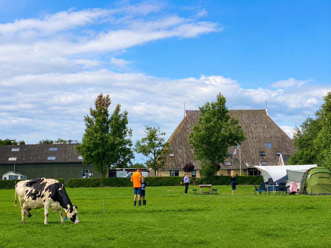 Das Herkunftsland