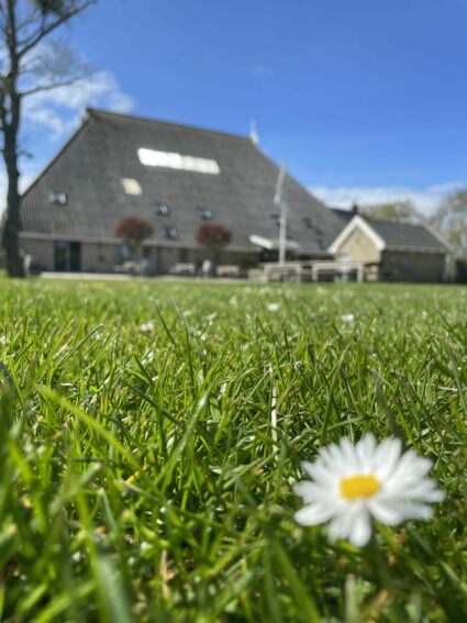 F1311a72 Cdc0 485e B234 Af066964072d